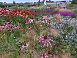 Image result for Mien Ruys