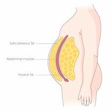 Image result for fat