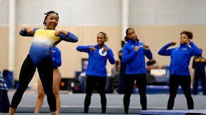 Image result for Arabian School Of Gymnastics