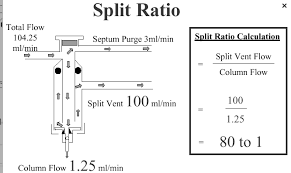 Image result for Splitz Gc