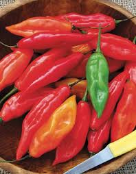 Afbeeldingsresultaat voor chili maya hot pepper hot pepper