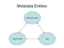 Challenges for Service Providers When Importing Metadata in ...