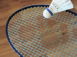 Image result for Kingfisher Badminton Club