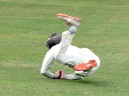 Image result for Patrington Cc