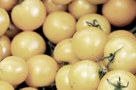 Afbeeldingsresultaat voor hawaiian white cherry tomato