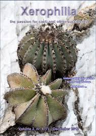 Attēlu rezultāti vaicājumam “Lophozia excisa”