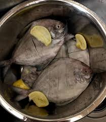 Image result for ikan