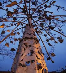 Image result for hallcross jfc