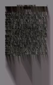 Attēlu rezultāti vaicājumam “Belbodamaeus sp.”