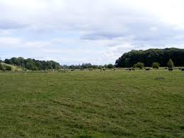 Image result for Frodsham Cc