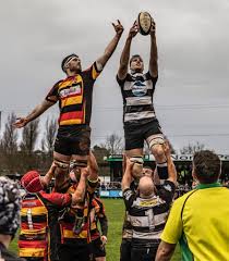Image result for Bridgwater & Albion RFC