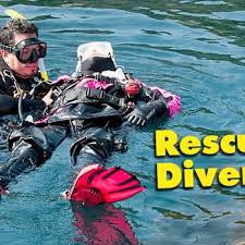 Image result for Stortford Divers