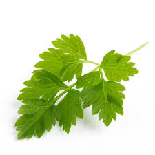 Image result for Kerbel