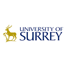 Image result for University Of Surrey