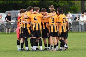 Image result for East Grinstead Town Football Club