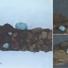 Attēlu rezultāti vaicājumam “Chaetopteryx villosa”