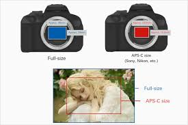 Image result for nikon tehron