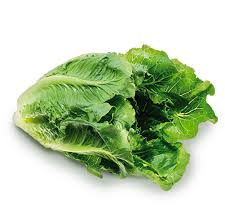 Image result for Römischer Salat