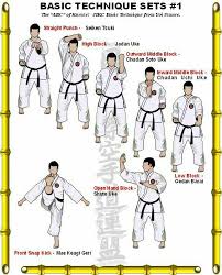 Image result for Kyokushin Karate