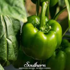 Afbeeldingsresultaat voor giant 3 sweet pepper