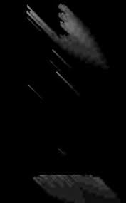 Attēlu rezultāti vaicājumam “Diderma testaceum young”