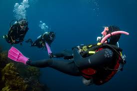 Image result for Dive Crew Scuba Diving