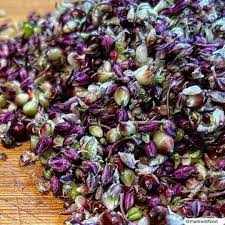 Attēlu rezultāti vaicājumam “Allium scorodoprasum fruit”