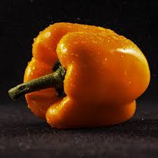 Afbeeldingsresultaat voor orange sun sweet pepper