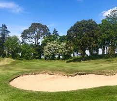 Image result for Carlow Golf Club