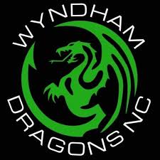 Image result for Wyvern Ladies Netball Club