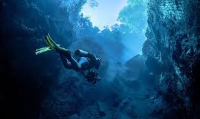 Image result for Deep Blue Diving