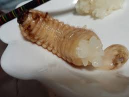 Image result for 名物糞こて