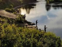 Image result for Thames Valley Angling