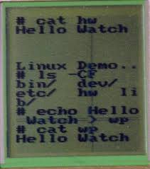 Image result for Linux watch