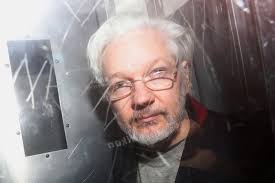 Image result for julian assange