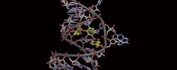 「小椋敦志 Another」の画像検索結果