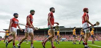Image result for Clarehurlers