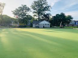 Image result for Central Essex Bowls Club
