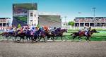 2014 KENTUCKY DERBY - Wikipedia, the free encyclopedia