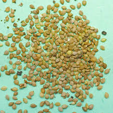 Attēlu rezultāti vaicājumam “Urtica dioica fruit”