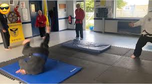 Image result for INTERNATIONAL HAPKIDO TAMWORTH