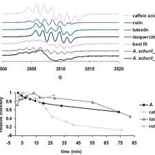 Attēlu rezultāti vaicājumam “Bayeriola thymicola”