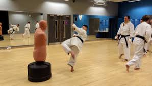 Image result for TIVERTON SHOTOKAN KARATE CLUB