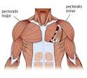 Bench Your Way to a Bigger Chest | Dual Fit
