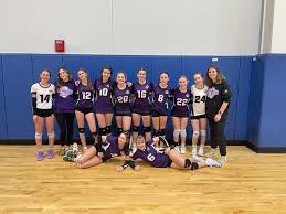 Image result for Ellesmere Port Eels Volleyball Club