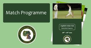 Image result for Lingfield Cricket Club