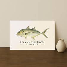 Image result for Caranx hippos