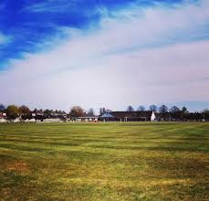 Image result for Griff & Coton Cc