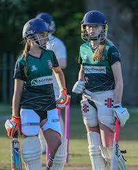 Image result for Chard Cricket Club