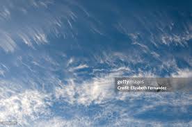 Attēlu rezultāti vaicājumam “Cirrus fibratus”